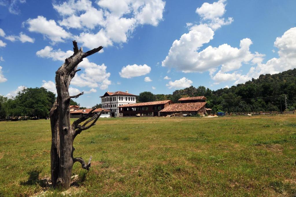 Hotel Sadibey Ciftligi 카스타모누 외부 사진