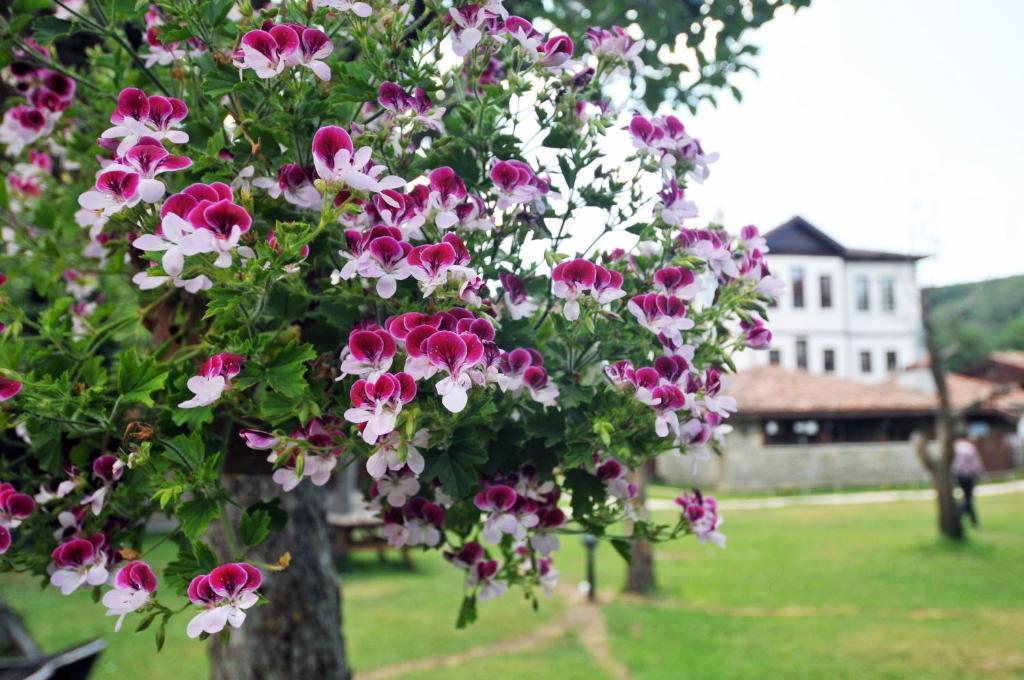 Hotel Sadibey Ciftligi 카스타모누 외부 사진